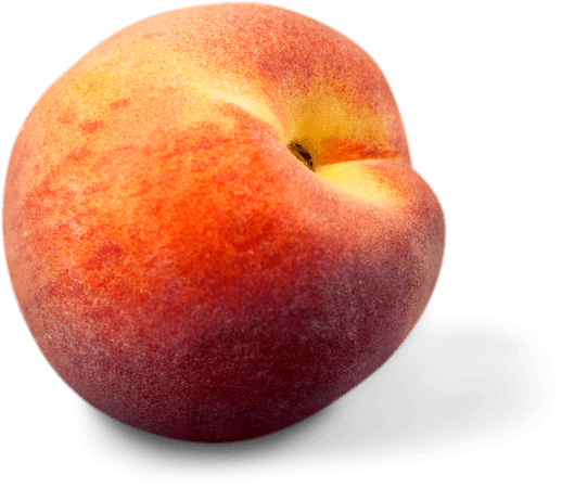 Univers Fruitée